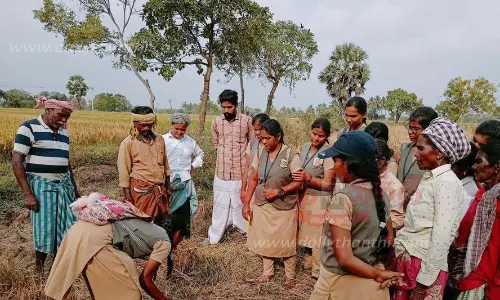 திருச்சி, தஞ்சை வேளாண் கல்லூரி மாணவிகளுக்கு பயிற்சி திருச்சி, தஞ்சை வேளாண் கல்லூரி மாணவிகளுக்கு பயிற்சி