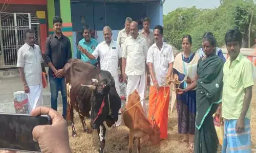 கறவை மாடு வாங்க கடன் வழங்கும் முகாம்