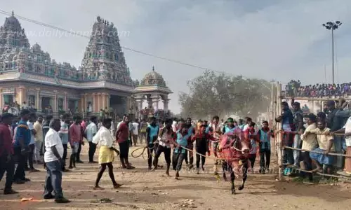 கருக்கல்வாடியில் எருதாட்டம் 250 காளைகள் பங்கேற்பு கருக்கல்வாடியில் எருதாட்டம் 250 காளைகள் பங்கேற்பு