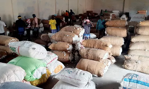 ரூ.12¾ லட்சத்துக்கு பருத்தி விற்பனை ரூ.12¾ லட்சத்துக்கு பருத்தி விற்பனை