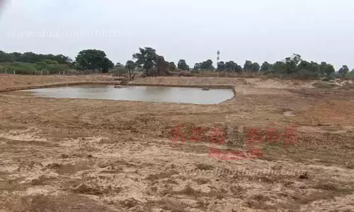 15 ஆண்டுகளுக்கு பின் தூர்வாரப்பட்ட ஊருணி