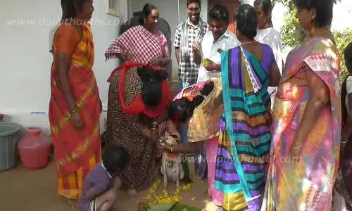 வளர்ப்பு நாய்க்கு வளைகாப்பு