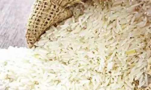 குமரிக்குசரக்கு ரெயிலில் 2,650 டன் ரேஷன் அாிசி வந்தது குமரிக்குசரக்கு ரெயிலில் 2,650 டன் ரேஷன் அாிசி வந்தது