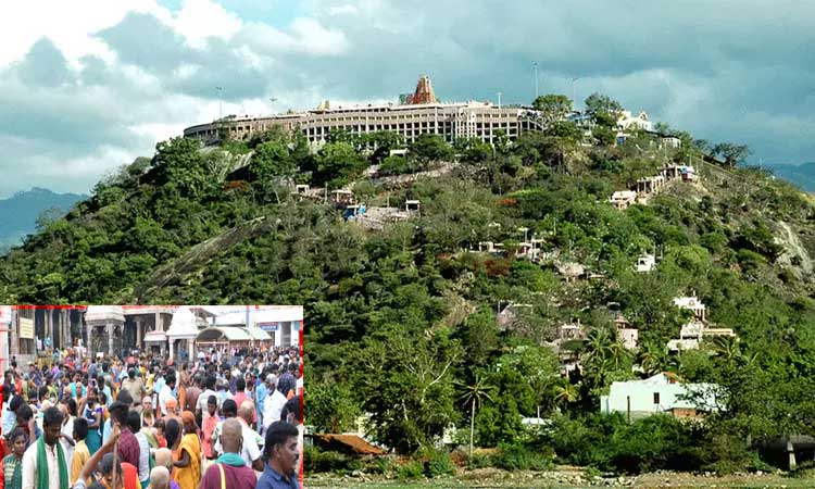 தைப்பூச திருவிழா: பழனி கோவிலுக்கு வரும் பாதயாத்திரை பக்தர்கள் எண்ணிக்கை அதிகரிப்பு