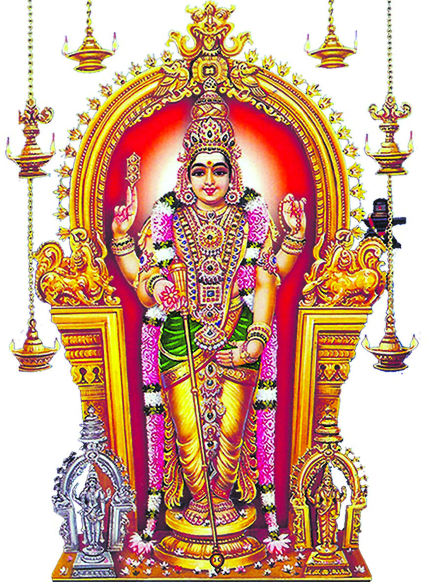 திருச்செந்தூர்சுப்பிரமணிய சுவாமி கோவிலில் தைப்பூச திருவிழா