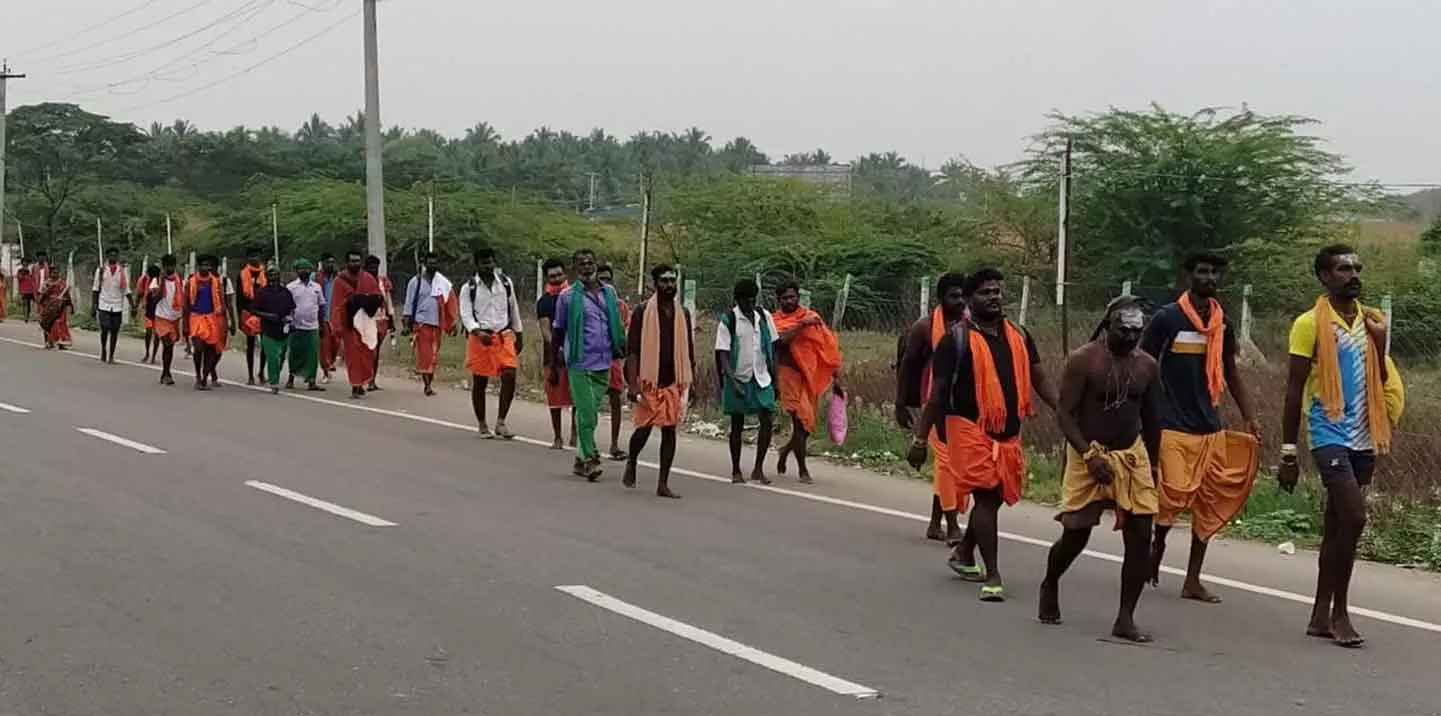 முத்துக்குமாரசுவாமி வள்ளி-தெய்வானை திருக்கல்யாணம் முத்துக்குமாரசுவாமி வள்ளி-தெய்வானை திருக்கல்யாணம்