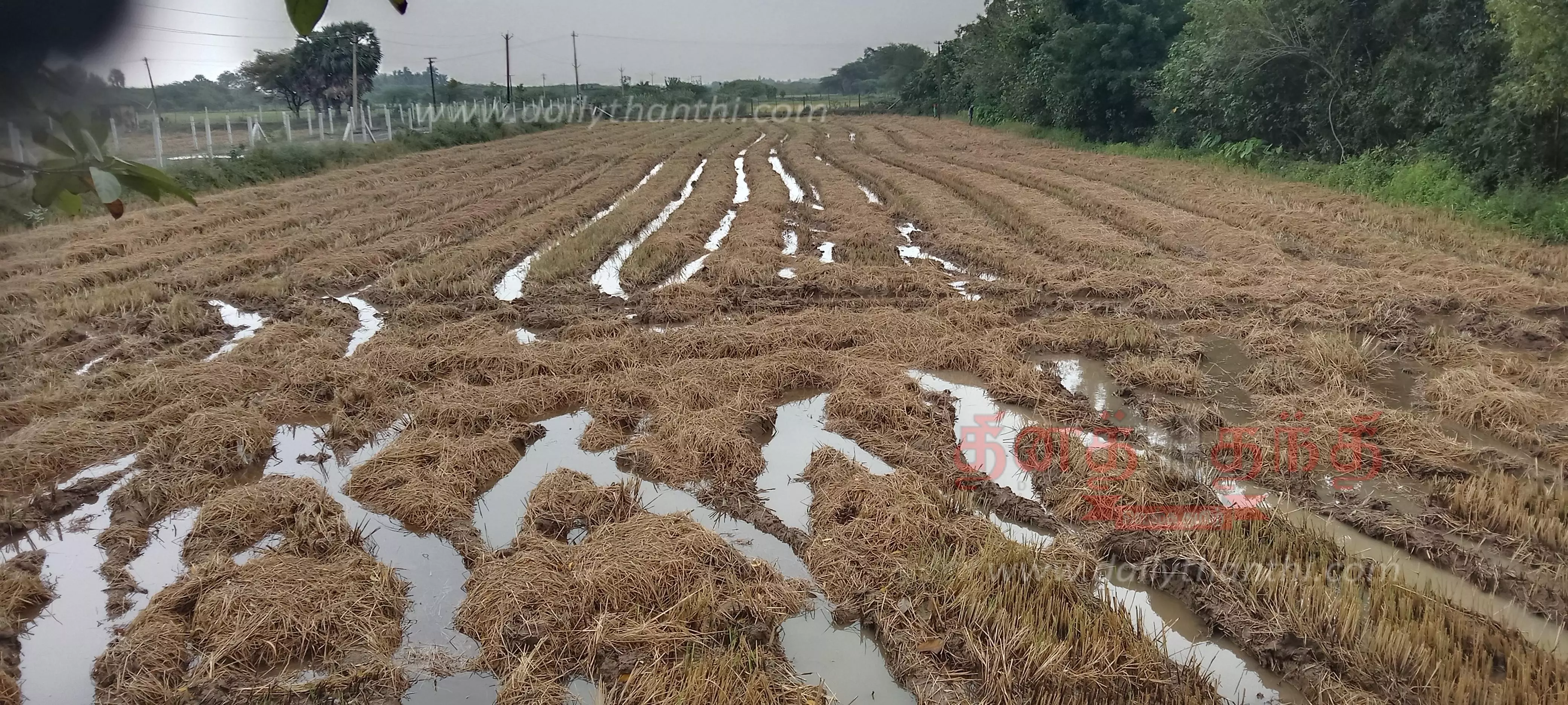 30-mm-of-rain-was-recorded-in-kollid-30