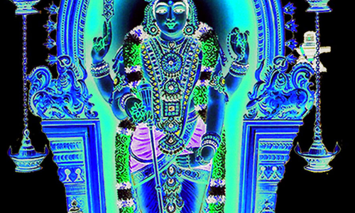 திருச்செந்தூர்சுப்பிரமணிய சுவாமி கோவிலில் தைப்பூச திருவிழா திருச்செந்தூர்சுப்பிரமணிய சுவாமி கோவிலில் தைப்பூச திருவிழா