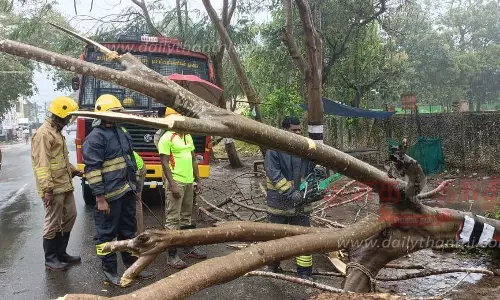 நெல் கொள்முதல் நிறுத்தம்; பள்ளி, கல்லூரிகளுக்கு விடுமுறை