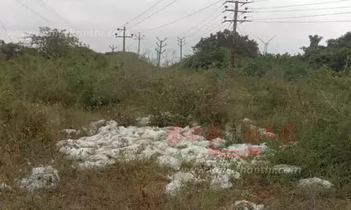 இறந்த கோழிகளை கால்வாயில் வீசி சென்ற மர்மநபர்கள்