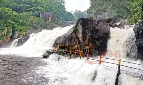 நெல்லை-தென்காசியில் பரவலாக மழை: மணிமுத்தாறு அருவியில் வெள்ளப்பெருக்கு