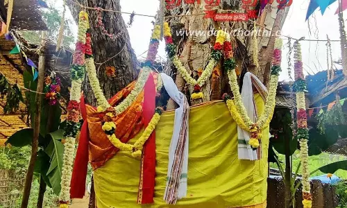 சென்னிமலை அருகே வினோத விழா: வேம்பு-அரச மரத்துக்கு திருமணம் சென்னிமலை அருகே வினோத விழா: வேம்பு-அரச மரத்துக்கு திருமணம்