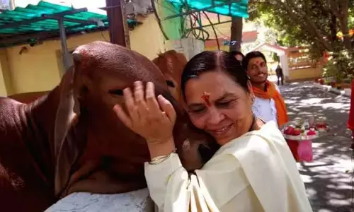 பால் குடியுங்கள்; மதுவை கை விடுங்கள்: பா.ஜ.க. அரசுக்கு எதிராக உமா பாரதி நூதன போராட்டம்