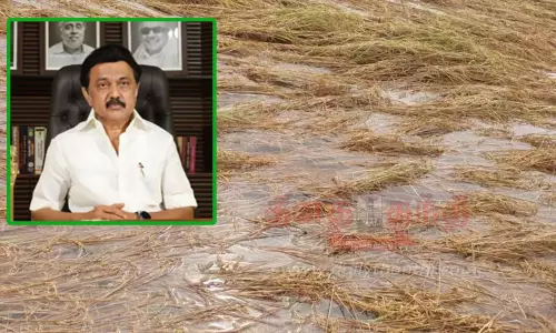 டெல்டா பகுதி மாவட்டங்களில் பயிர் சேதங்களைப் பார்வையிட அமைச்சர் குழு - முதல்-அமைச்சர் மு.க.ஸ்டாலின் அறிவிப்பு டெல்டா பகுதி மாவட்டங்களில் பயிர் சேதங்களைப் பார்வையிட அமைச்சர் குழு - முதல்-அமைச்சர் மு.க.ஸ்டாலின் அறிவிப்பு