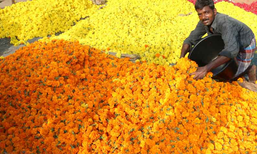 தோவாளை மார்க்கெட்டில் பூக்கள் விலை உயர்வு