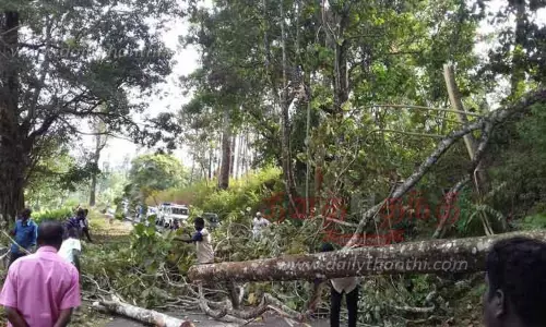 சாலையில் மரங்கள் விழுந்து போக்குவரத்து பாதிப்பு