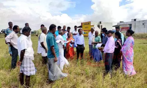வறட்சியால் பாதித்த பகுதியை வேளாண் அதிகாரி ஆய்வு