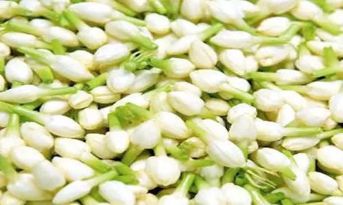 பூக்கள் விலை திடீர் வீழ்ச்சி; விவசாயிகள் கவலை