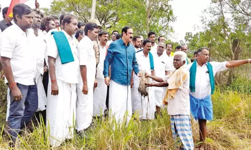 காவிரி டெல்டா பகுதியில் மழையால் பாதிக்கப்பட்ட விவசாயிகளுக்கு ஏக்கருக்கு ரூ.50 ஆயிரம் நிவாரணம் - அன்புமணி ராமதாஸ்