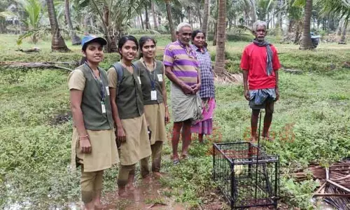 மரநாய் பொறி வைக்க விவசாயிகளுக்கு செயல்விளக்கம்