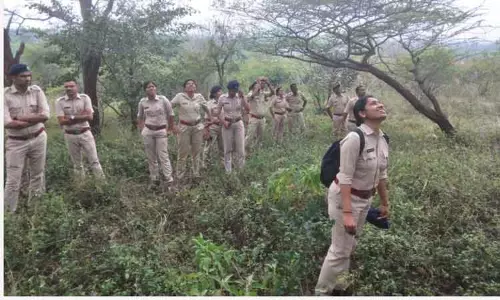 தேவாங்குகள் குறித்த சிறப்பு பயிற்சி