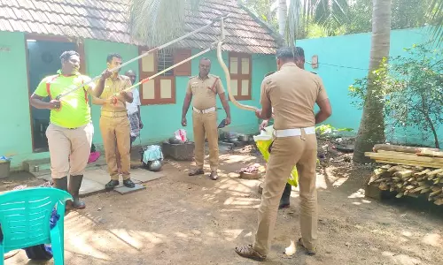 வீட்டிற்குள் புகுந்த பாம்பு பிடிபட்டது வீட்டிற்குள் புகுந்த பாம்பு பிடிபட்டது