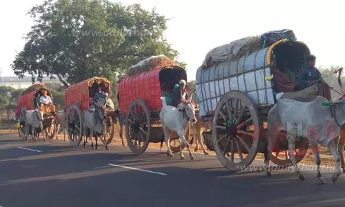 பழனிக்கு கட்டை வண்டியில் செல்லும் முருகபக்தர்கள்