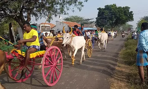 மாட்டு வண்டி எல்கை பந்தயம்