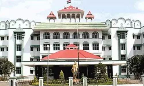 ஆவின் பணி நியமன விவகாரம் - என்ன நடவடிக்கை எடுக்கப்பட்டது? தமிழக அரசுக்கு ஐகோர்ட்டு அதிரடி கேள்வி