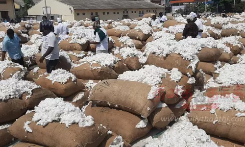 ரூ.1.65 கோடிக்கு பருத்தி ஏலம்