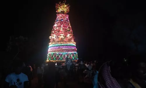 வயலோகம் தர்காவில் சந்தனக்கூடு விழா வயலோகம் தர்காவில் சந்தனக்கூடு விழா