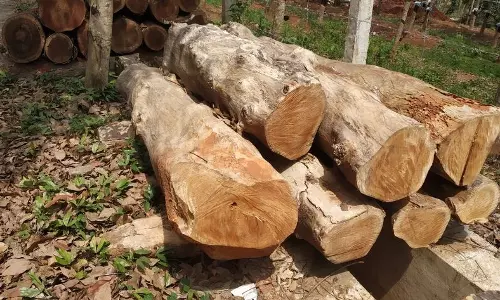 தினத்தந்தி புகார் ெபட்டி