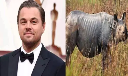 காண்டாமிருகங்கள் கொல்லப்படுவதற்கு எதிராக சிறப்பான நடவடிக்கை; அசாம் அரசுக்கு நடிகர் டிகாப்ரியோ பாராட்டு