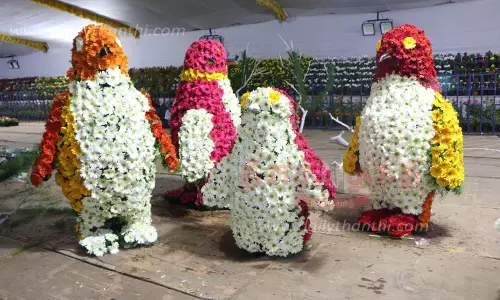 மலர், காய்கனி கண்காட்சி இன்று தொடங்குகிறது மலர், காய்கனி கண்காட்சி இன்று தொடங்குகிறது