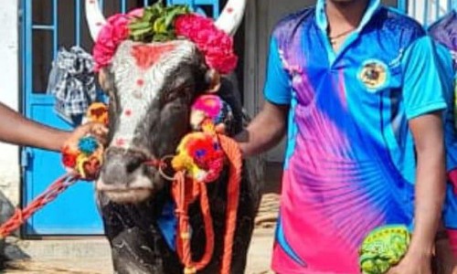 ஜல்லிக்கட்டு வீரர் படுகொலை