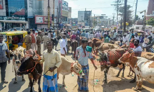 மாடுகளுடன் உரிமையாளர்கள் சாலை மறியல்