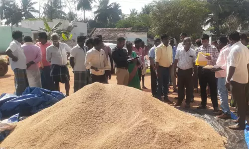 நேரடி கொள்முதல் நிலையங்களில் நெல் ஈரப்பதத்தை மத்திய குழுவினர் ஆய்வு