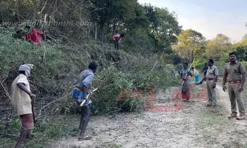 தீத்தடுப்பு கோடுகள் அமைக்கும் பணி தீவிரம்