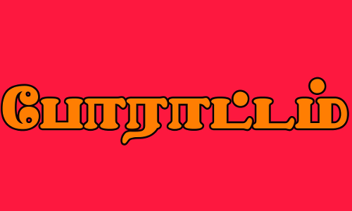 சின்னசேலத்தில்பட்ஜெட் நகல் எரிக்கும் போராட்டம்