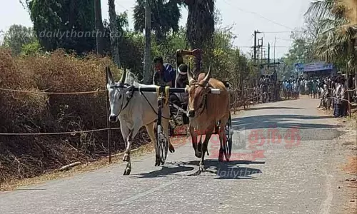 ரேக்ளா பந்தயத்தில் சீறி பாய்ந்த காளைகள்