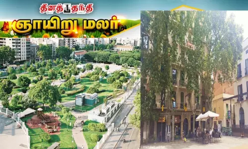 மனதை பாதுகாக்கும் 3-30-300 பசுமை விதி