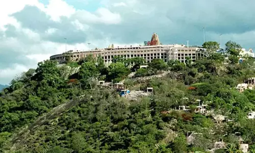 பழனிக்கு காவடியோடு படையெடுக்கும் பக்தர்கள் - தடபுடலாக தயாராகும் 15 டன் பஞ்சாமிர்தம்