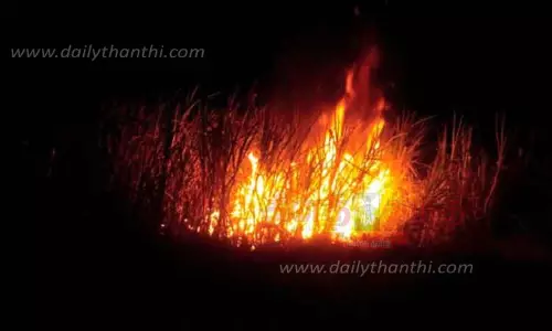 டி.என்.பாளையத்தில்கரும்பு தோட்டத்தில் பயங்கர தீ விபத்து
