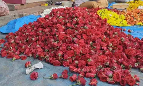 சிவகாசியில் குவிந்த ரோஜா பூக்கள் சிவகாசியில் குவிந்த ரோஜா பூக்கள்