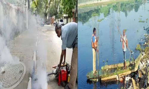 சென்னையில் ஒரே நாளில் 2,919 தெருக்களில் கொசு ஒழிப்பு பணி