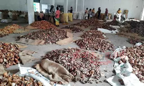 கொப்பரை தேங்காய் வரத்து அதிகரிப்பு கொப்பரை தேங்காய் வரத்து அதிகரிப்பு