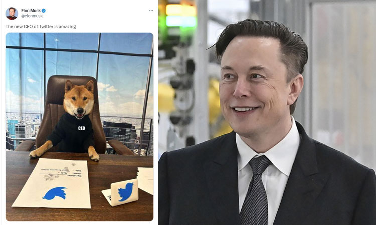 டுவிட்டரின் புதிய சி.இ.ஓ. இவர்தான்... அறிமுகப்படுத்திய எலான் மஸ்க்