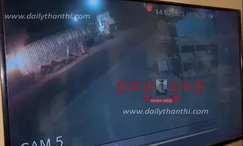 தி.மு.க. பிரமுகர் வீட்டில் பெட்ரோல் குண்டு வீசப்பட்டதால் பரபரப்பு