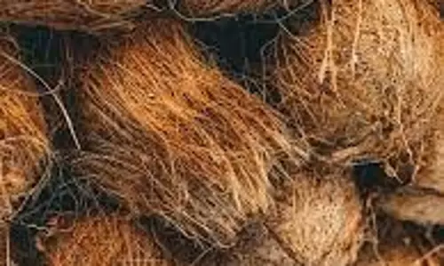 பரமத்திவேலூரில்முதல் முறையாக இ-நாம் மூலம் தேங்காய் ஏலம்விவசாயிகள், வியாபாரிகள் வரவேற்பு