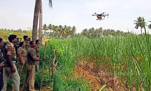 இருக்கூர் பகுதியில் 16 நாட்களாக அட்டகாசம்:5 கால்நடைகள், 2 நாய்களை கடித்து கொன்ற சிறுத்தைப்புலிவிவசாயிகள், பொதுமக்கள் அச்சம்